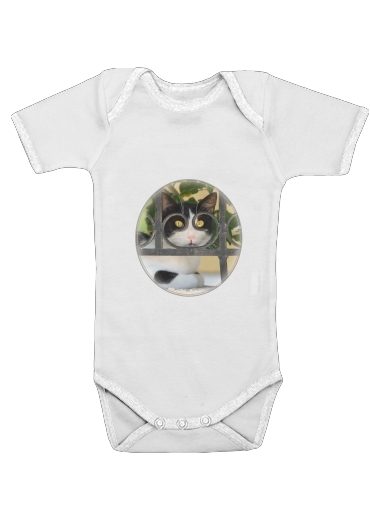  Cat with spectacles frame, she looks through a wrought iron fence voor Baby short sleeve onesies