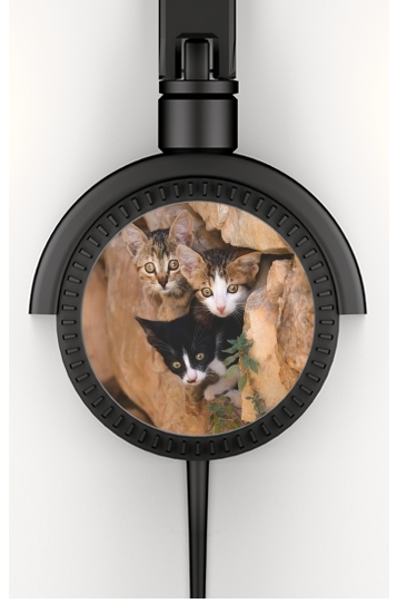  Three cute kittens in a wall hole voor hoofdtelefoon
