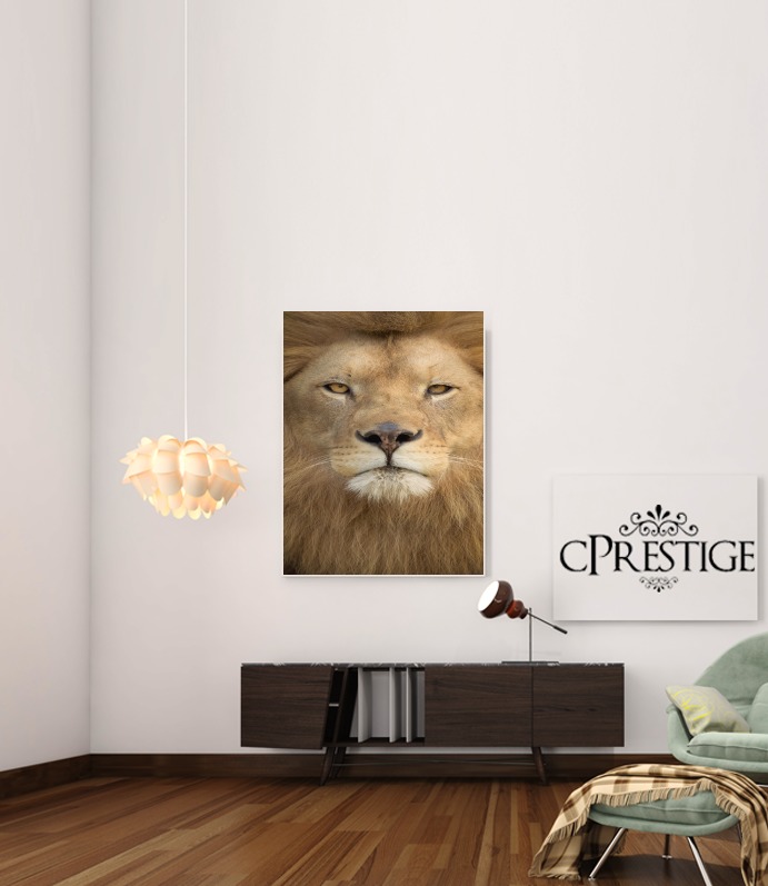  Africa Lion voor Bericht lijm 30 * 40 cm