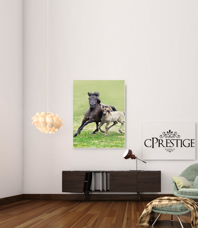  Horses, wild Duelmener ponies, mare and foal voor Bericht lijm 30 * 40 cm