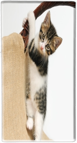  Baby cat, cute kitten climbing voor draagbare externe back-up batterij 5000 mah Micro USB