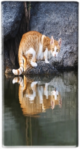  Cat Reflection in Pond Water voor draagbare externe back-up batterij 5000 mah Micro USB