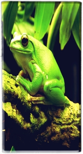  Green Frog voor draagbare externe back-up batterij 5000 mah Micro USB