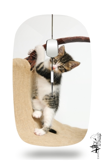  Baby cat, cute kitten climbing voor Draadloze optische muis met USB-ontvanger