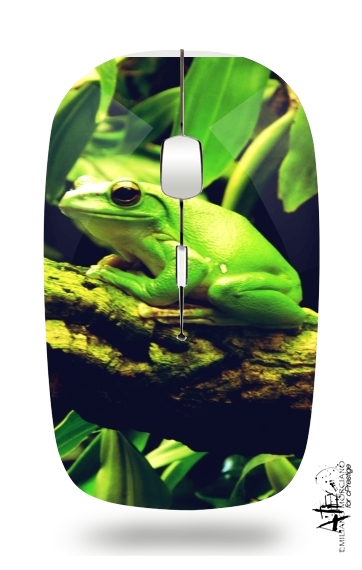  Green Frog voor Draadloze optische muis met USB-ontvanger