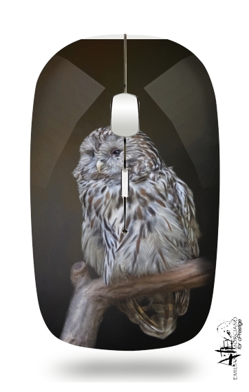  Lovely cute owl voor Draadloze optische muis met USB-ontvanger