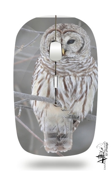  owl bird on a branch voor Draadloze optische muis met USB-ontvanger