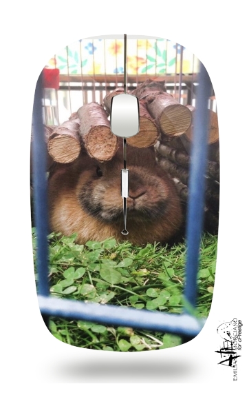  Rabbit's Love voor Draadloze optische muis met USB-ontvanger