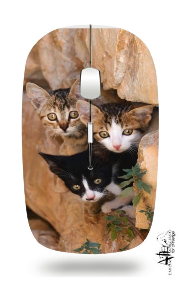  Three cute kittens in a wall hole voor Draadloze optische muis met USB-ontvanger