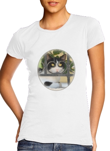  Cat with spectacles frame, she looks through a wrought iron fence voor Vrouwen T-shirt