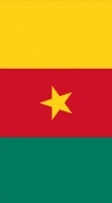 hoesje Flag of Cameroon