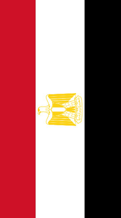 hoesje Flag of Egypt