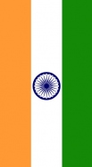 hoesje Flag India
