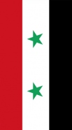 hoesje Flag of Syria