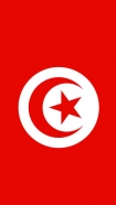 hoesje Flag of Tunisia
