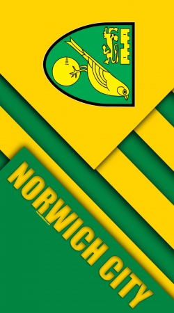 hoesje Norwich City