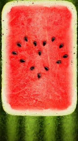 hoesje Summer Love watermelon