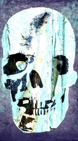 hoesje Vintage Blue Skull