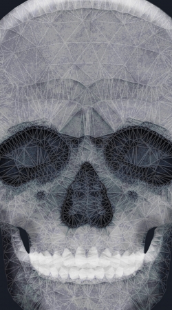 hoesje abstract skull