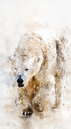 hoesje Abstract watercolor polar bear