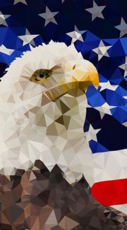 hoesje American Eagle and Flag