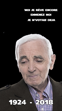 hoesje Aznavour Hommage Fan Tribute