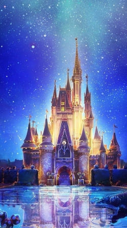 hoesje Disneyland Castle