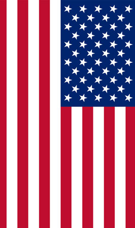 hoesje Flag United States