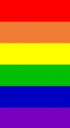 hoesje Flag Gay Rainbow