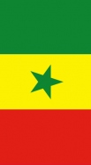 hoesje Flag of Senegal