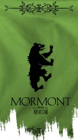 hoesje Flag House Mormont