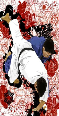 hoesje Judo
