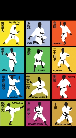 hoesje Karate techniques
