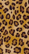 hoesje Leopard