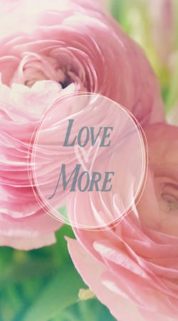 hoesje Love More