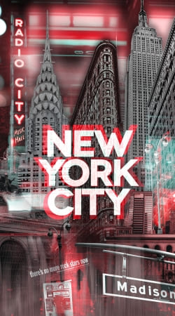 hoesje New York City II [red]