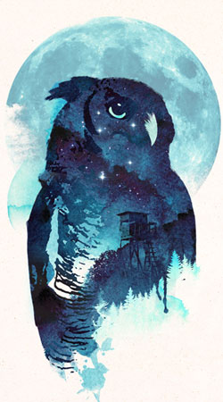 hoesje Night Owl
