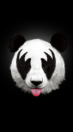hoesje Kiss of a Panda