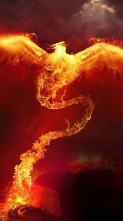hoesje Phoenix in Fire