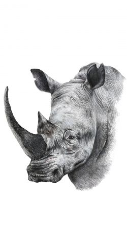 hoesje Rhino Shield Art
