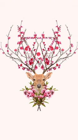 hoesje Spring Deer