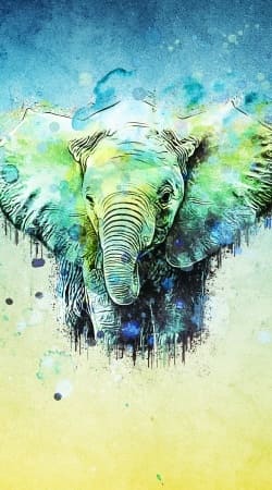 hoesje watercolor elephant