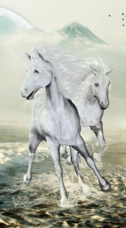hoesje White Horses on the beach