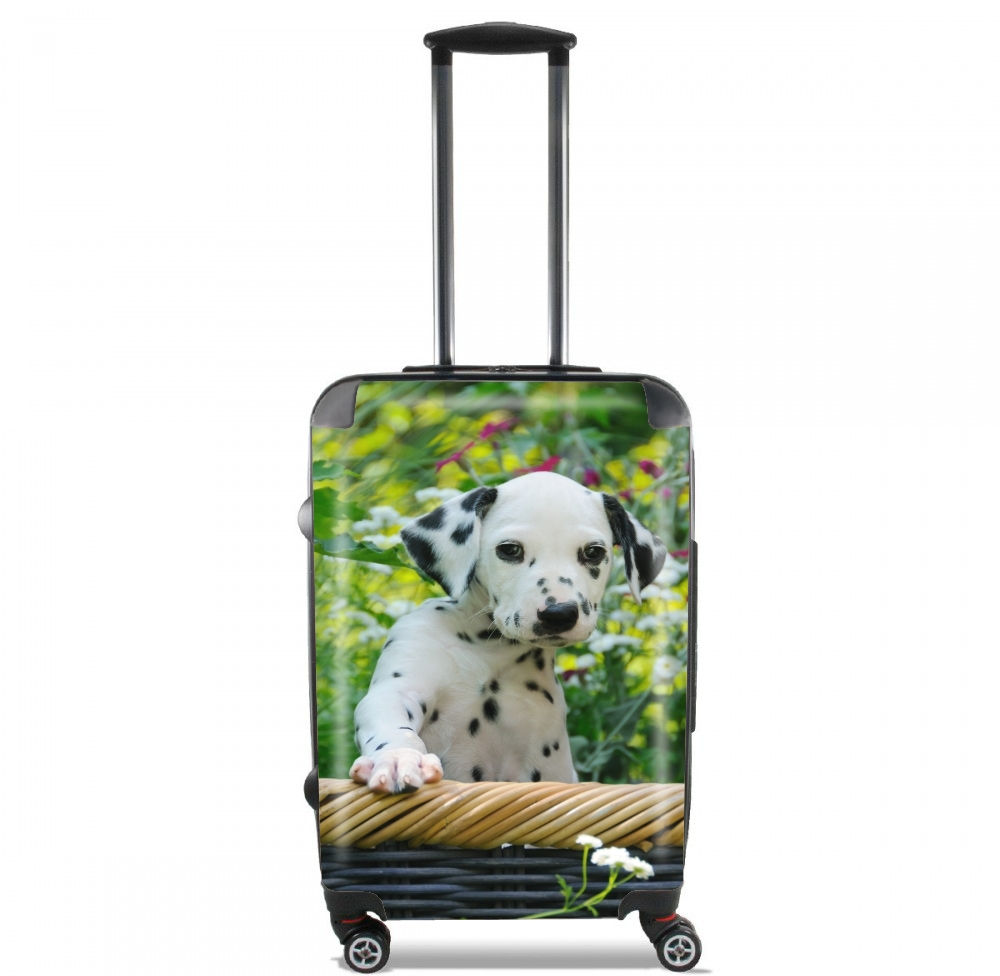  Cute Dalmatian puppy in a basket  voor Handbagage koffers