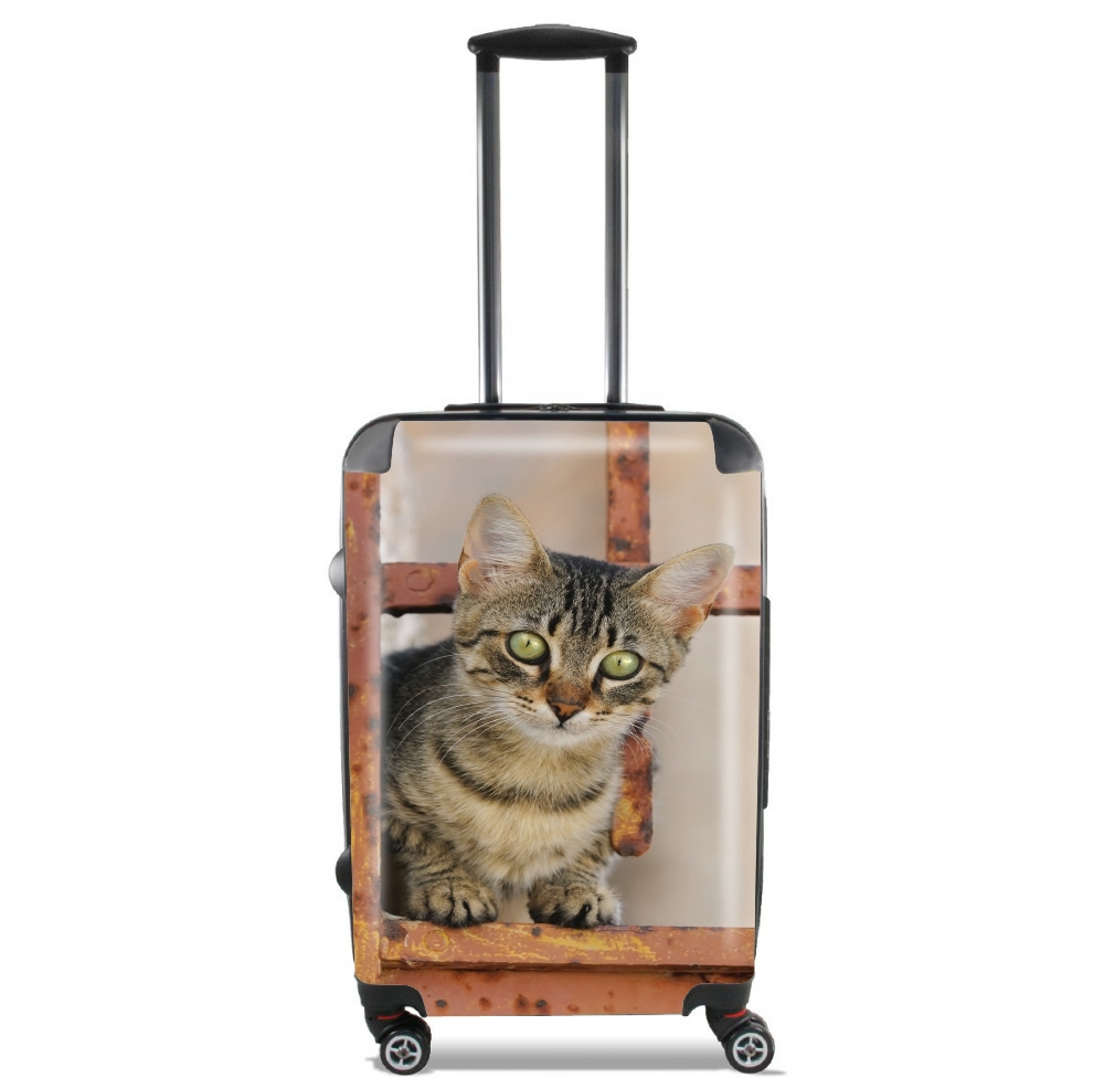  Cute kitten on a rusty iron door  voor Handbagage koffers