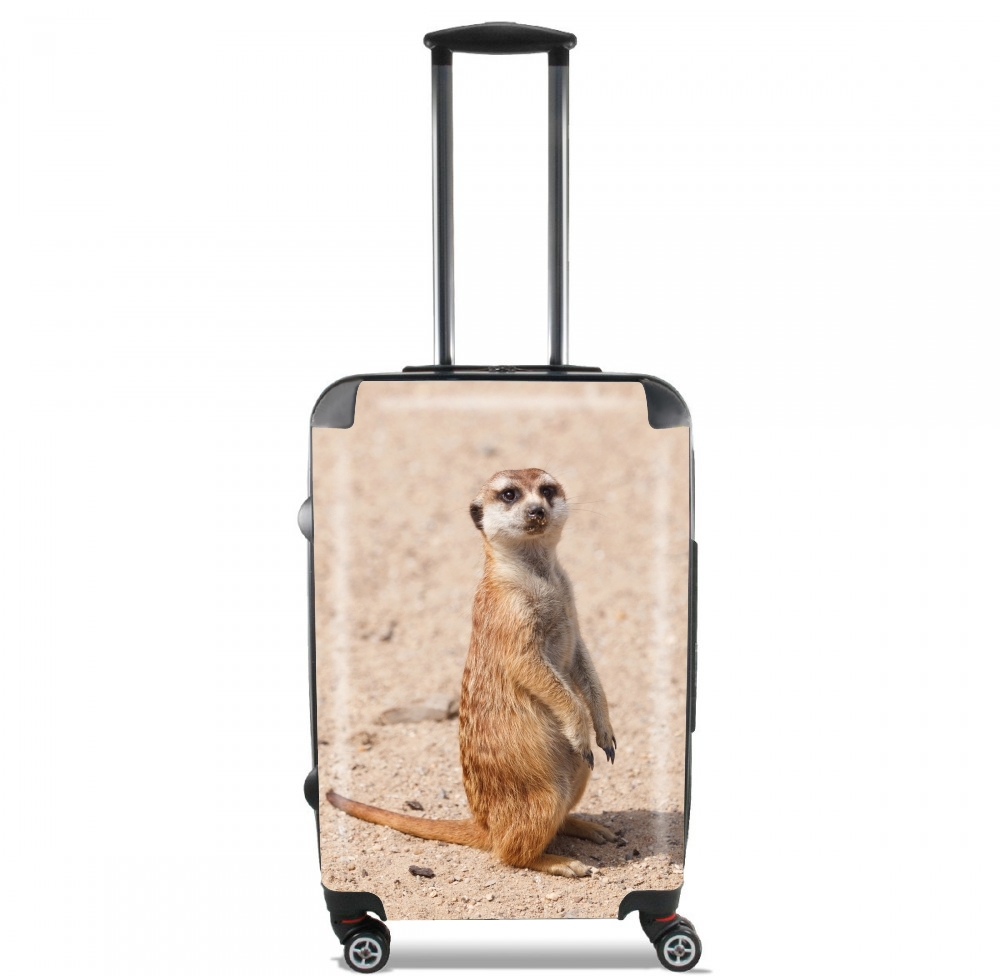  Meerkat voor Handbagage koffers