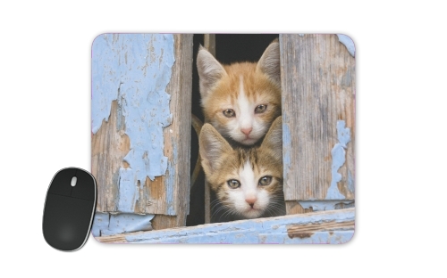  Cute curious kittens in an old window voor Mousepad