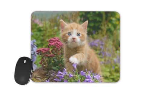  Cute ginger kitten in a flowery garden, lovely and enchanting cat voor Mousepad