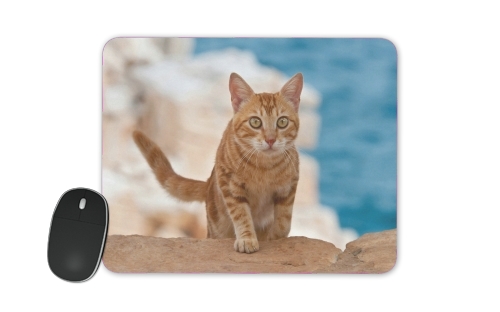  Ginger kitten on a cliff voor Mousepad