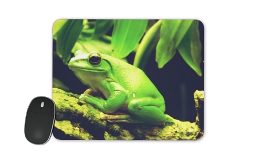  Green Frog voor Mousepad